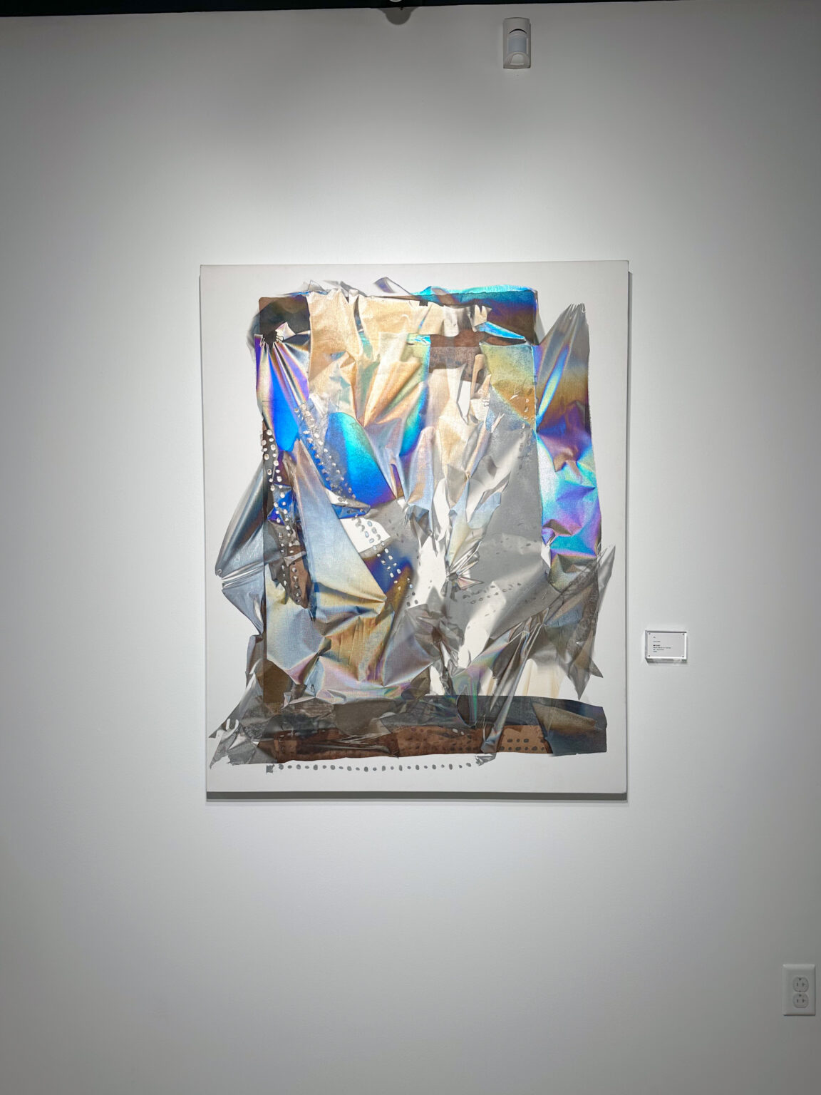 flora gallery11