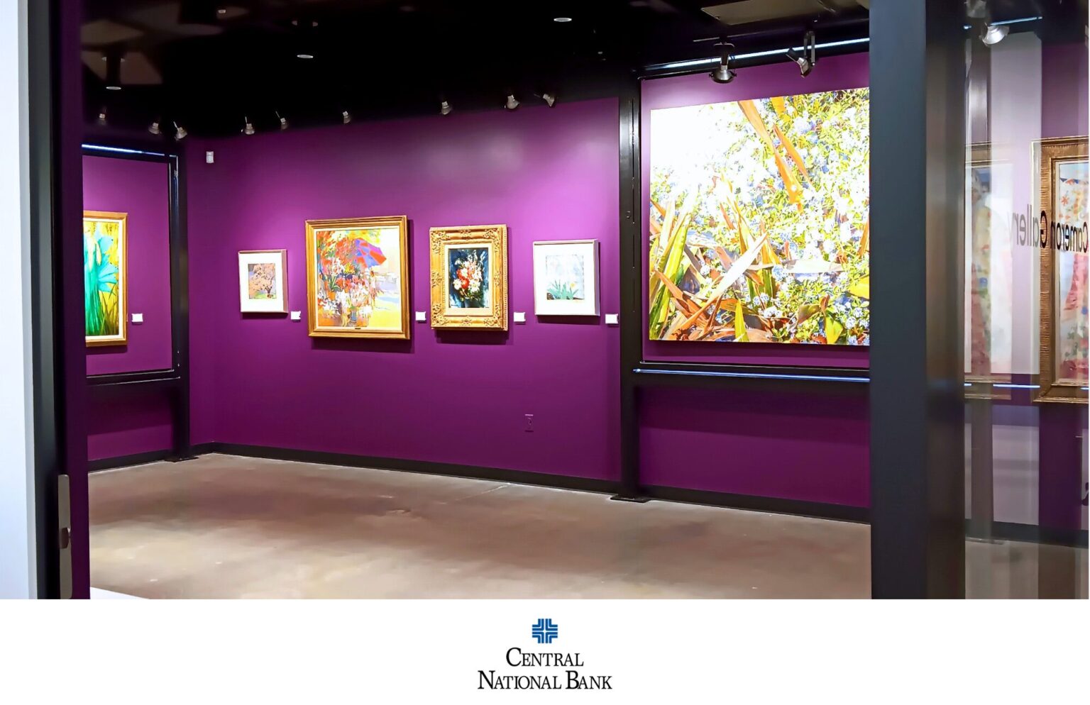 photo background (2)